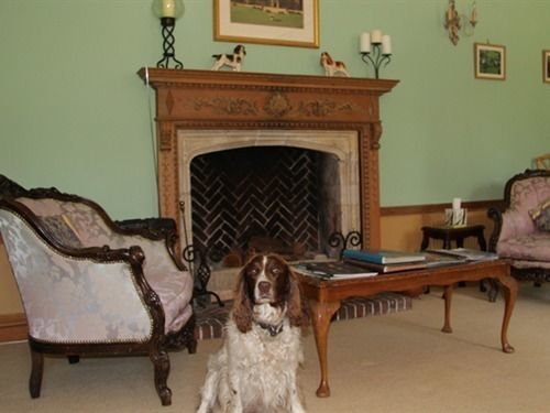 Somerton Court Country House Hotell Exteriör bild
